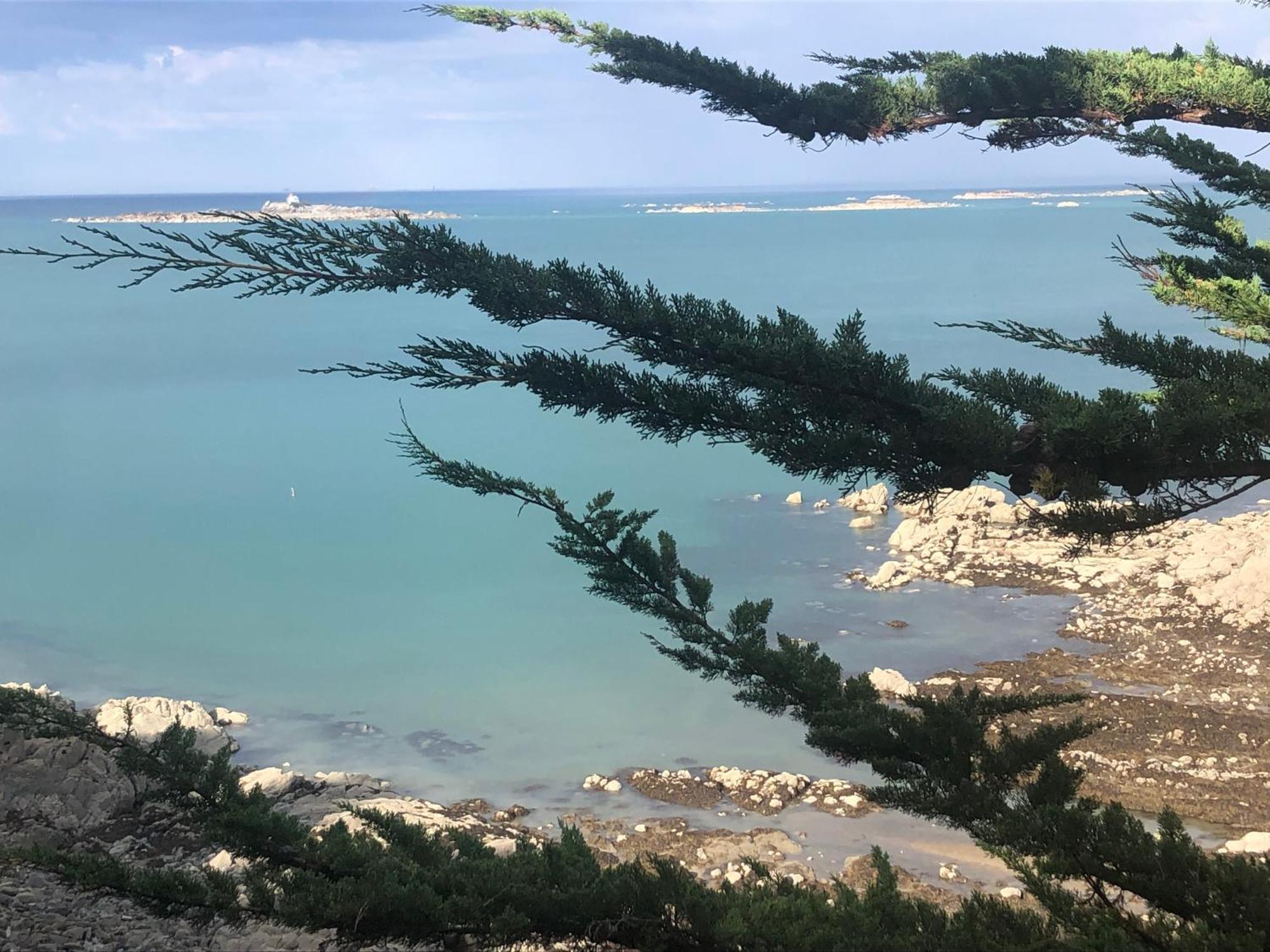 L'Annexe Villa Saint-Quay-Portrieux Bagian luar foto